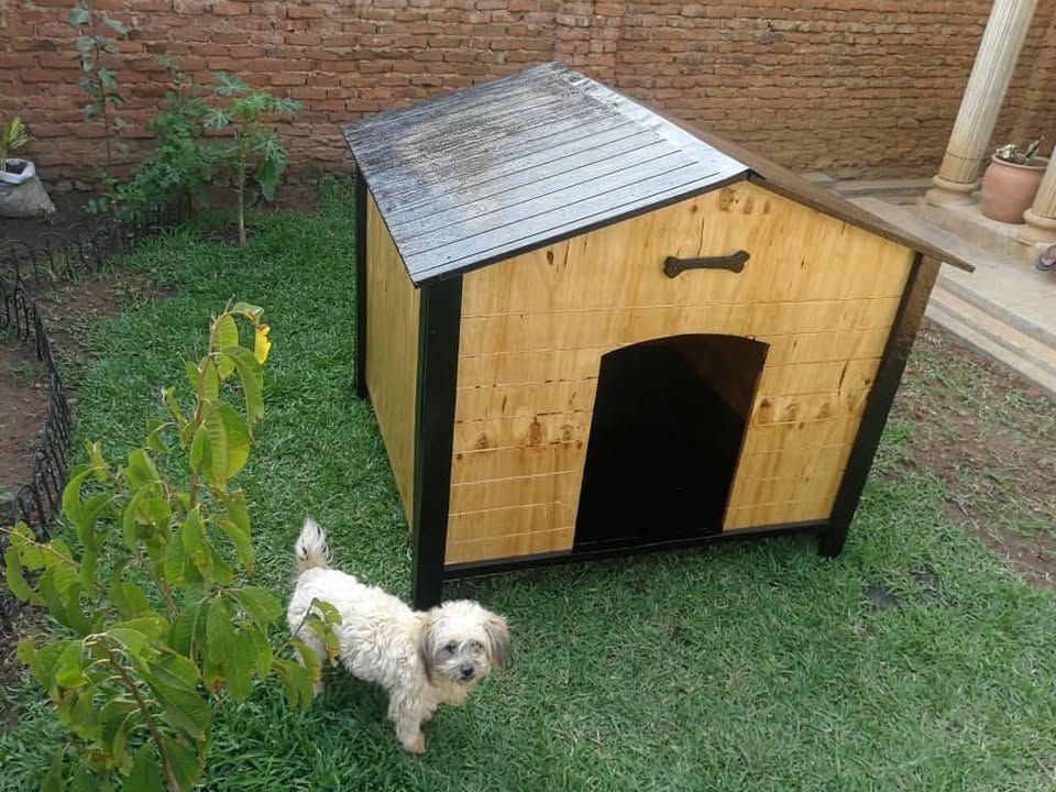 Dog House - Image 1